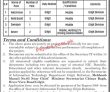 S&itd Jobs 2022 | Science & Information Technology Department Headquarters