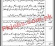 Smta Jobs 2023 | Sindh Mass Transit Authority Headquarters Announced Latest