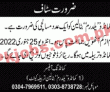Ssg Jobs 2022 | Ssg Commando Battalion Headquarters Announced Latest