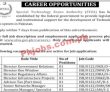 Stza Jobs 2022 | Special Technology Zones Authority Stza Head