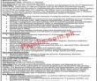 Stza Pk Jobs 2021 | Jobs In Stza | Special
