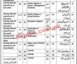 Swd Latest Jobs 2023 | Social Welfare Department Swd jobs 2023