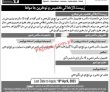 Szabist Jobs 2023