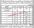 Sargodha Health Department Punjab Pakistan Latest Today Jobs 2022 Advertisement