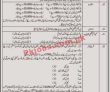 School Education Department Announced School Teacher Internees (sti’s) Pk Jobs
