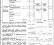 School Education & Literacy Department Management PK Jobs 2021