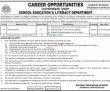 School Education & Literacy Department Pk Jobs 2021