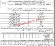 School Education Pk Jobs 2021 | School Education Department Head
