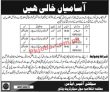 Secretariat Jobs 2022 | Cabinet Secretariat Department Head Office Announced