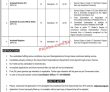 Secretariat Jobs 2022 | National Ombudsman Secretariat For Protection Against Harassments