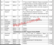 Secretariat Jobs 2022 | Planning & Development Department Secretariat Head