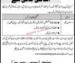 Shipyard Pk Jobs 2021 | Shipyard & Engineering Works Limited