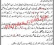 Sindh Peoples Housing For Flood jobs 2023