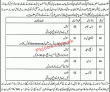 Social Protection Authority Management PK Jobs 2021