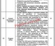 Social Protection Pk Jobs 2021 | Provincial Social Protection Authority