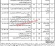 Social Welfare & Bait Ul Maal Department Announced Management Pk