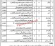 Social Welfare & Bait Ul Maal Department Management Pk Jobs