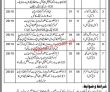 Social Welfare & Bait Ul Maal Department Pk Jobs 2021