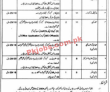 Social Welfare & Bait ul Maal Department PK Jobs 2021