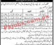 Social Welfare & Bait ul Maal Department PK Jobs 2021