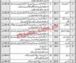 Social Welfare & Bait Ul Maal Division Announced Management Pk