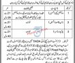 Social Welfare Department Announced Management Pk Jobs 2021