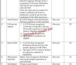 Social Welfare Department Headquarters Announced Latest Advertisement Jobs 2022