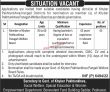 Social Welfare Department Jobs 2022 | Social Welfare Special Education