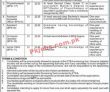 Social Welfare Jobs 2022 | Directorate Of Social Welfare Special