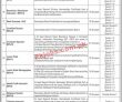 Social Welfare Pk Jobs 2021 | Directorate Of Social Welfare