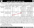 Social Welfare & Special Education Department PK Jobs 2021