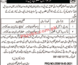 Social Welfare & Special Education Department PK Jobs 2021