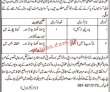 Social Welfare & Special Education Department PK Jobs 2021