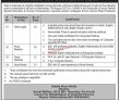 Social Welfare Special Education & Women Development Management Pk Jobs