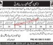 Special Branch Pk Jobs 2021 | Police Department Special Branch