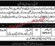 Station Headquarters jobs 2023