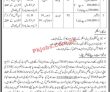 Tdap Jobs 2022 | Trade Development Authority Of Pakistan Tdap