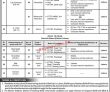 Tevta  Jobs 2022 | Technical Education & Vocational Training Authority