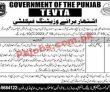 Tevta Latest jobs 2023
