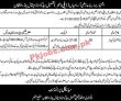 Thq jobs 2023 | Latest Tehsil Headquarter Hospital Jobs 2023 |