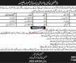 Tma Jobs 2022 | Tehsil Municipal Administration Headquarters Announced Latest