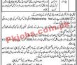 Tehsil Council Office Announced Management & Consultancy Pk Jobs 2021