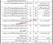 Tehsil Headquarter Management & Medical PK Jobs 2021