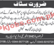 Telenor Franchise Management & Sales PK Jobs 2021
