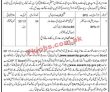 Ten Billion Tree Tsunami Programme Management Pk Jobs 2021