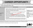 The Bank of Punjab Special Assets Management PK Jobs 2021