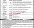 The University Of Agriculture Head Office Announced Latest Recruitments Jobs