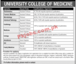 The University of Lahore Management & Faculty PK Jobs 2021