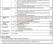 Today Govt Jobs Forestry, Wildlife & Fisheries Department Punjab Jobs