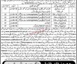 Today New Jobs In Pakistan Peshawar High Court Mingora Swat